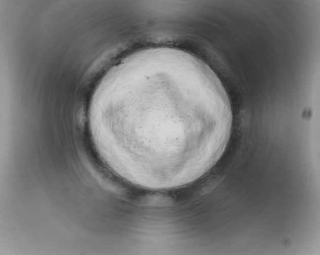 X0000113100644200909182139