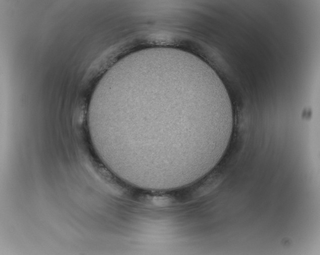 X0000113100645200909182139