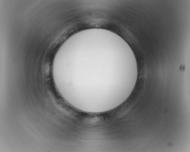 X0000113100646200909182139