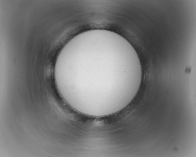 X0000113100647200909182139