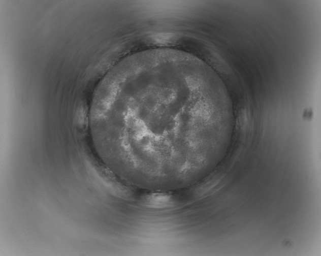 X0000113100651200909182139