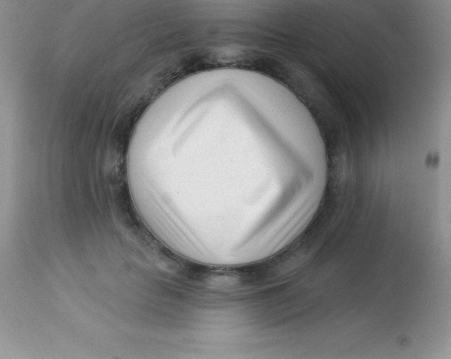 X0000113100653200909182139