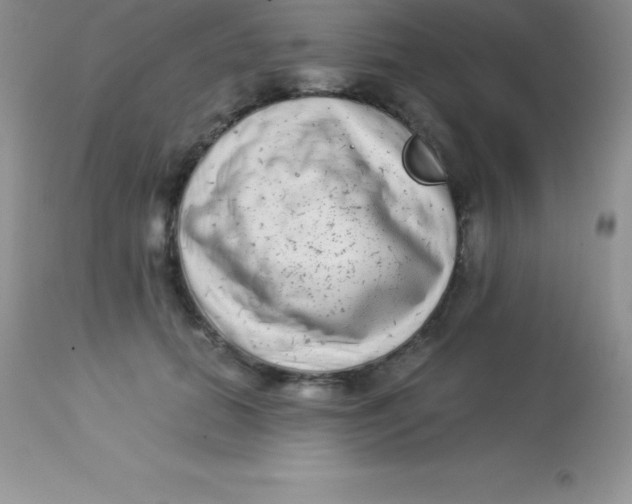 X0000113100655200909182139