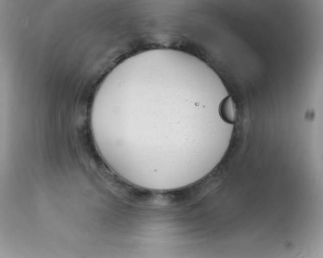 X0000113100656200909182139