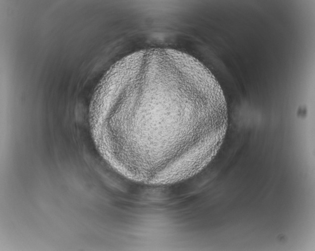 X0000113100659200909182139