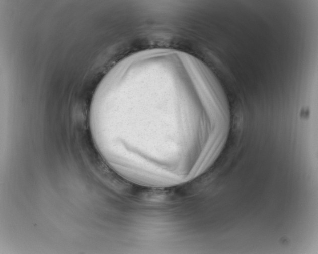 X0000113100661200909182139