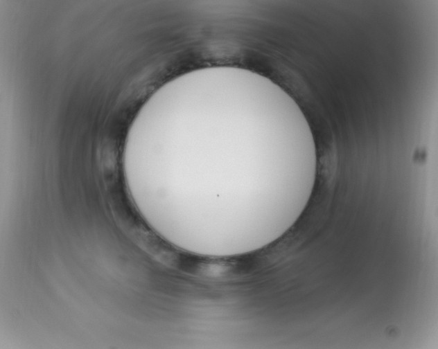 X0000113100662200909182139
