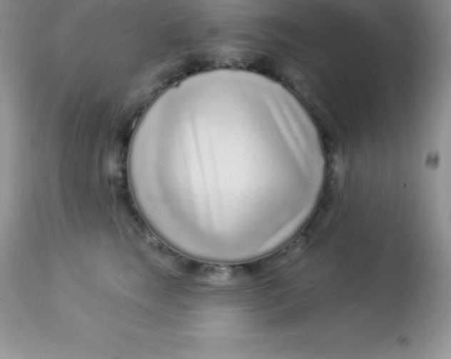 X0000113100663200909182139