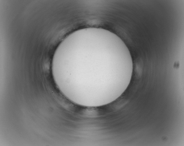 X0000113100668200909182139