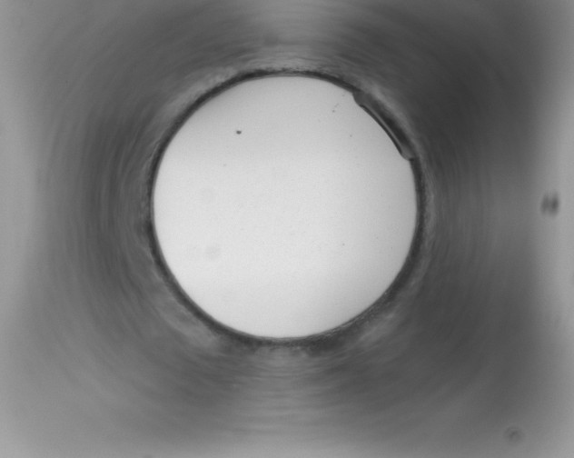 X0000113100673200909182139