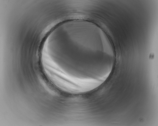 X0000113100674200909182139