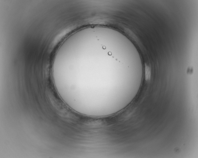 X0000113100675200909182139
