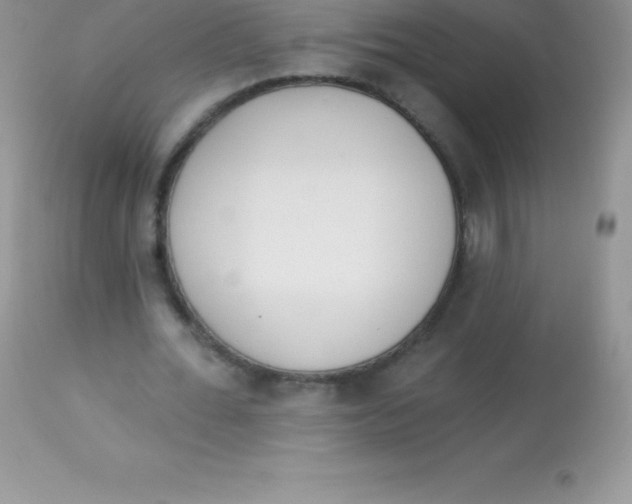 X0000113100676200909182139