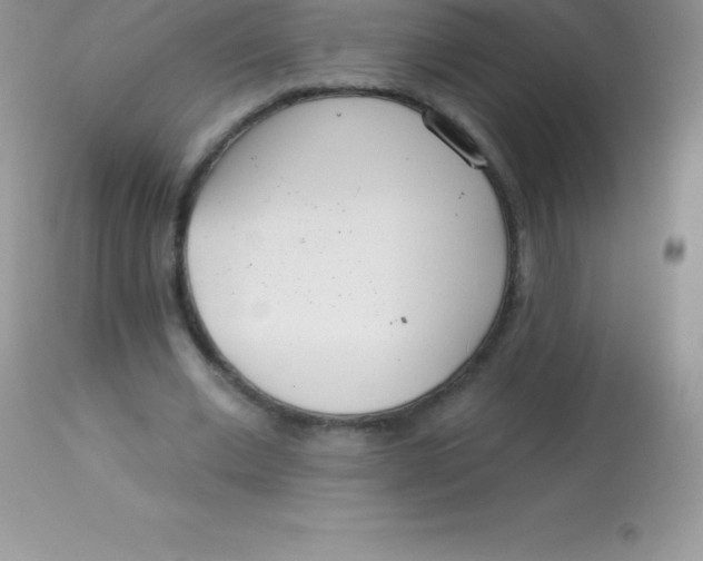 X0000113100677200909182139