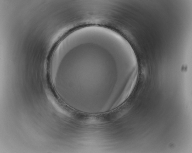X0000113100678200909182138
