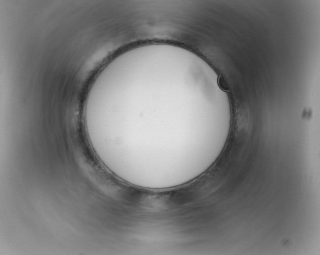 X0000113100680200909182138