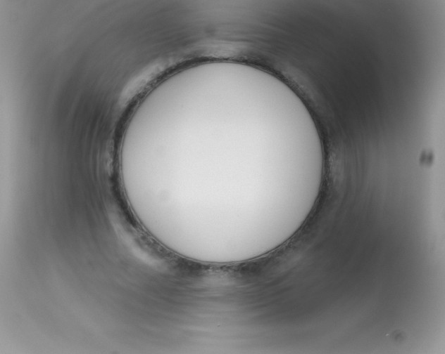 X0000113100682200909182138