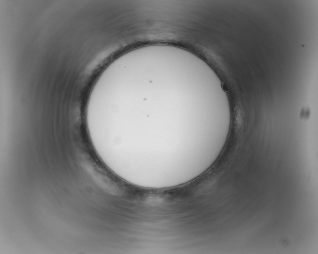 X0000113100684200909182138
