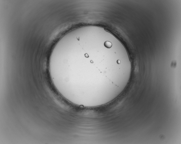 X0000113100685200909182138