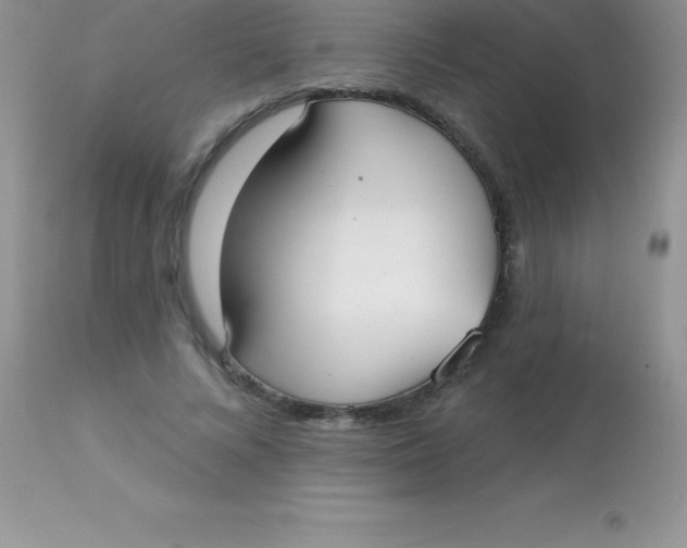 X0000113100688200909182138