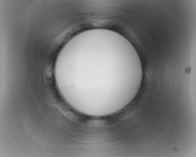 X0000113100691200909182138