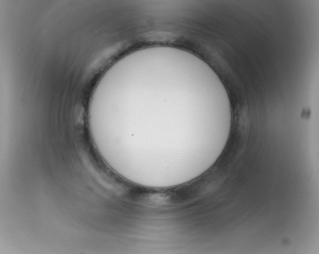 X0000113100692200909182138