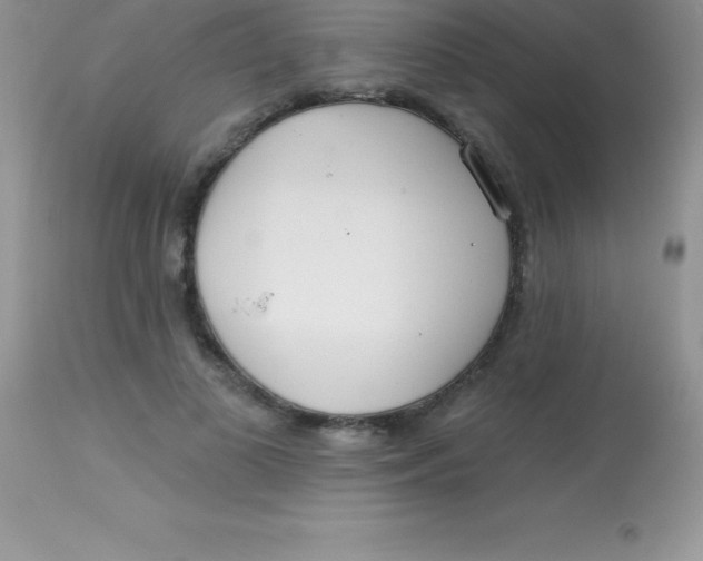 X0000113100693200909182138