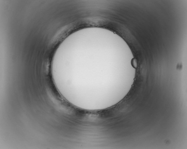X0000113100694200909182138