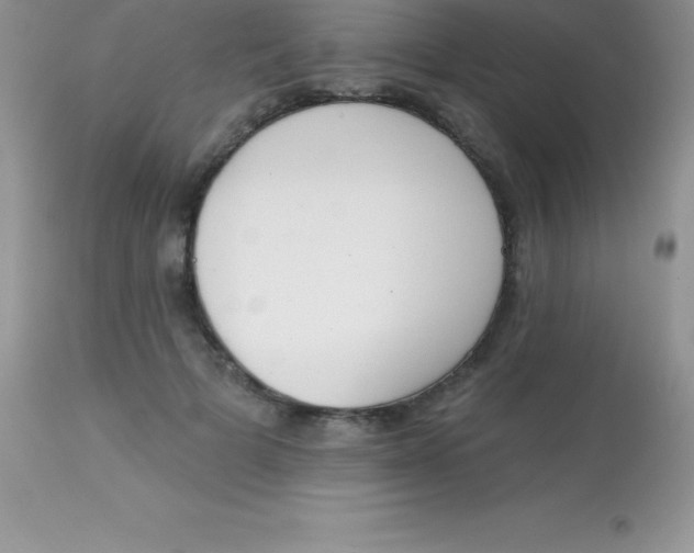 X0000113100697200909182138