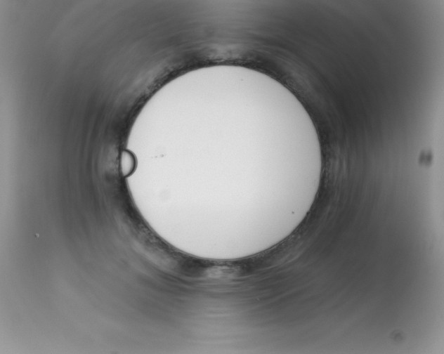 X0000113100700200909182138