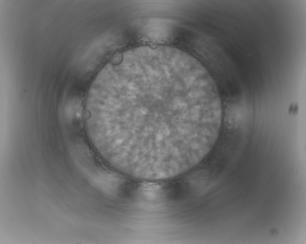 X0000113100701200909182138