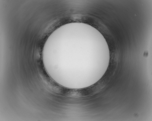 X0000113100702200909182138
