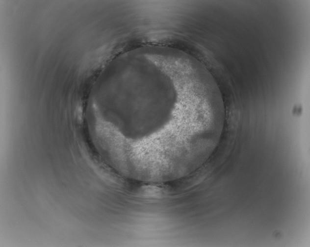 X0000113100703200909182138