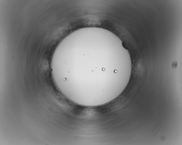 X0000113100704200909182138