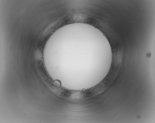 X0000113100705200909182138