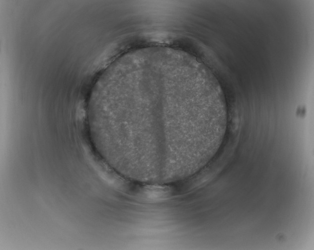 X0000113100707200909182138