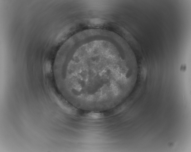 X0000113100711200909182138