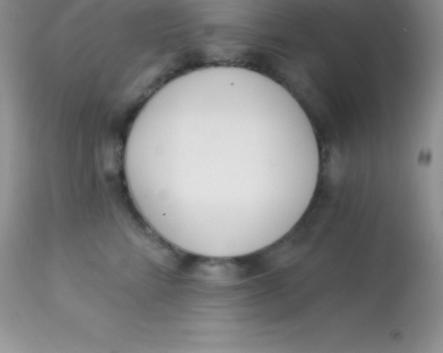 X0000113100712200909182138
