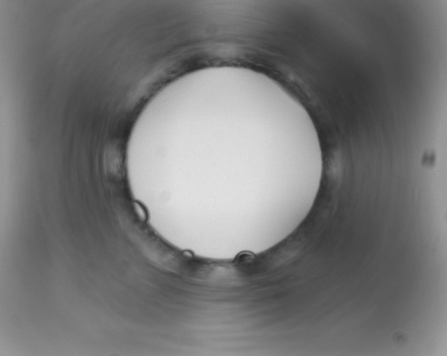 X0000113100715200909182138