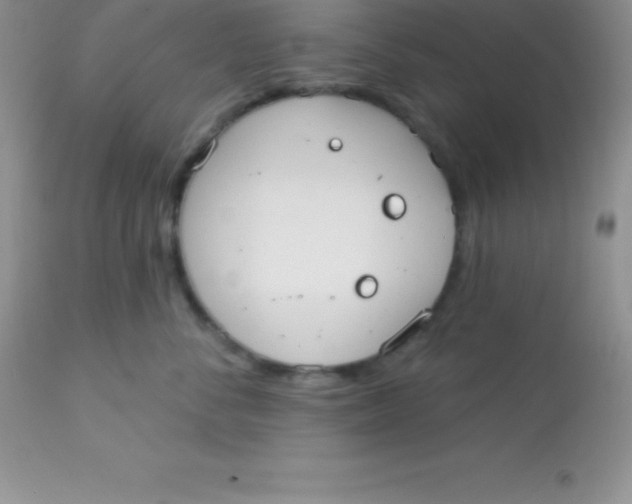 X0000113100716200909182138