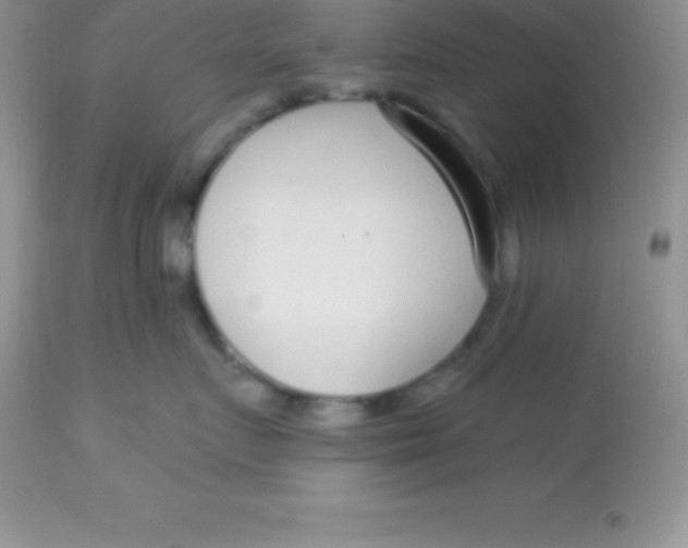 X0000113100719200909182138