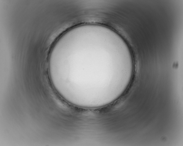 X0000113100721200909182137
