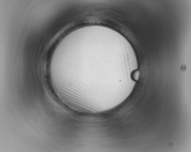 X0000113100722200909182137