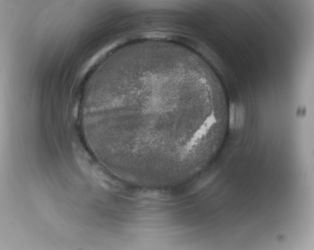 X0000113100723200909182137