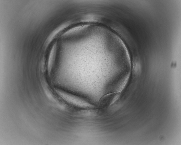 X0000113100724200909182137
