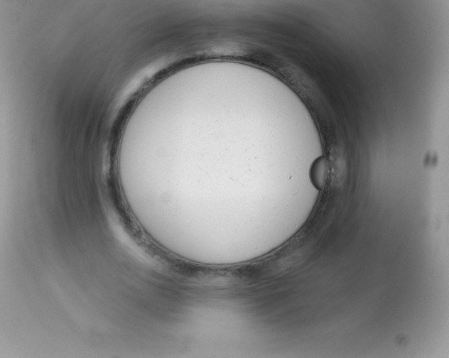 X0000113100726200909182137
