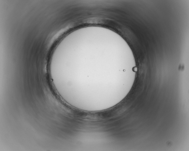 X0000113100727200909182137