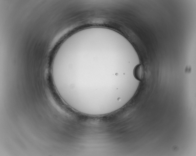 X0000113100728200909182137