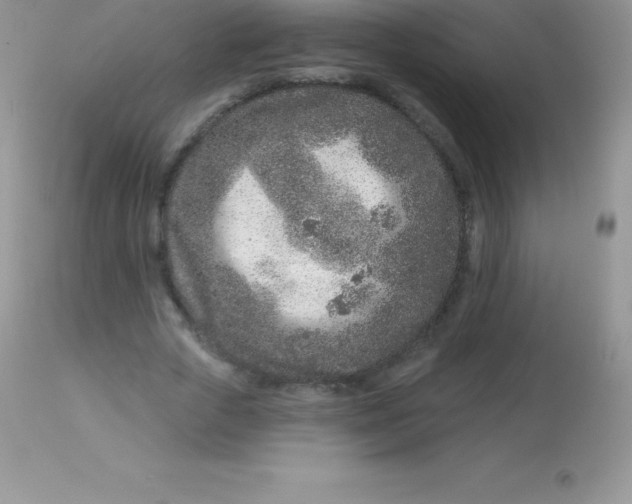 X0000113100729200909182137