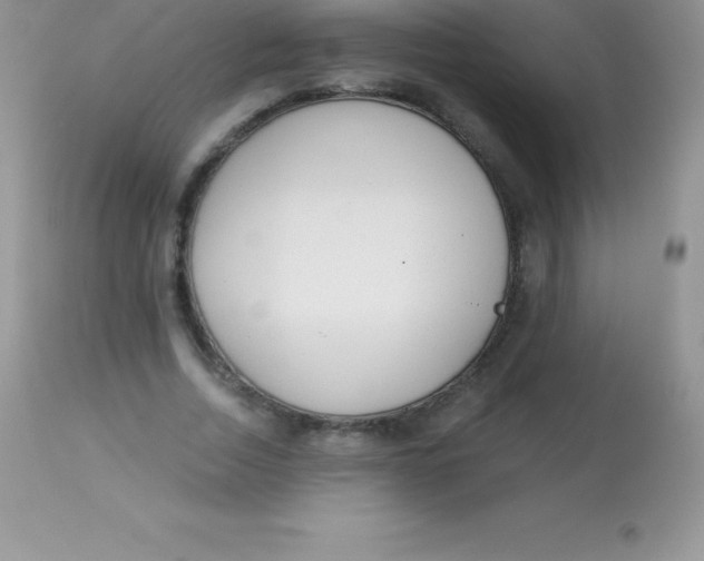 X0000113100730200909182137